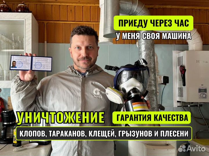 Уничтожение тараканов обработка от клещей