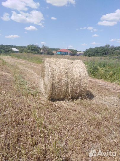 Костер+Вика