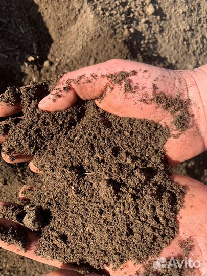 Перегной коровьего навоза в мешках (25 литров)