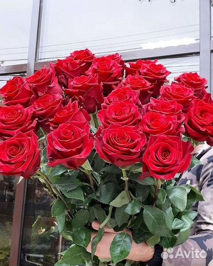 Розы Букеты Цветы Розы 31 101 151 201 Доставка