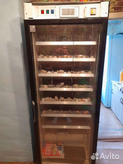 Автоматический инкубатор