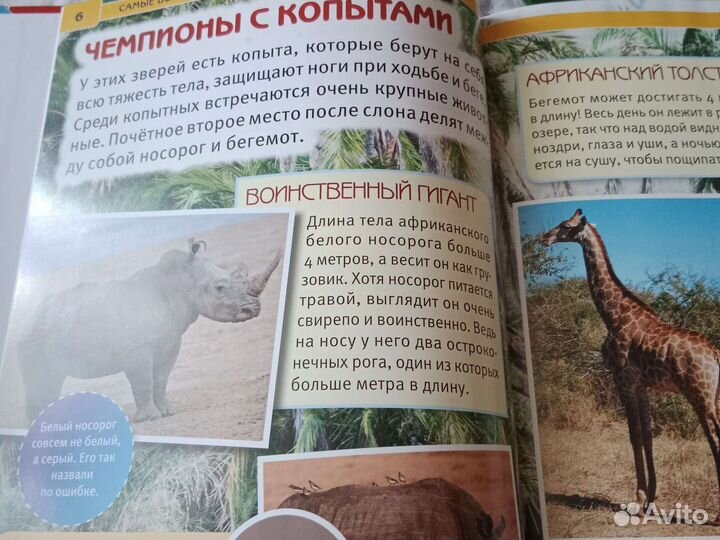 Детские книги, Самые большие животные