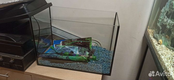 Аквариум