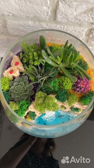 Флорариумы,суккуленты