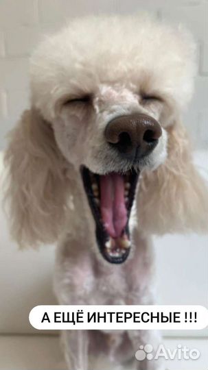 Обучение с нуля