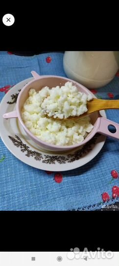 Тибетский молочный гриб