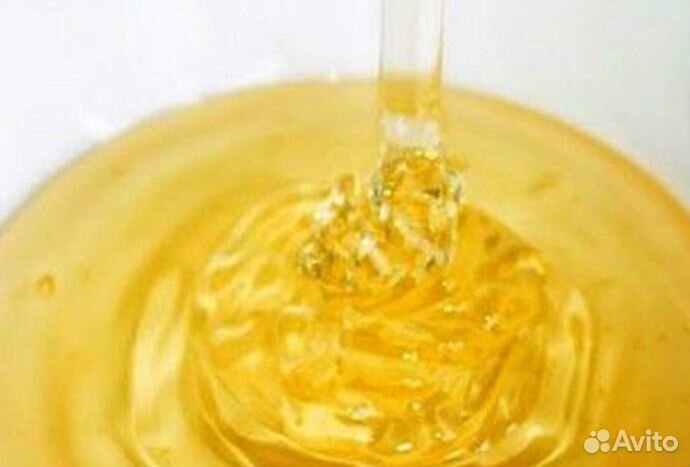 Мёд натуральный алтайский опт от 16 кг