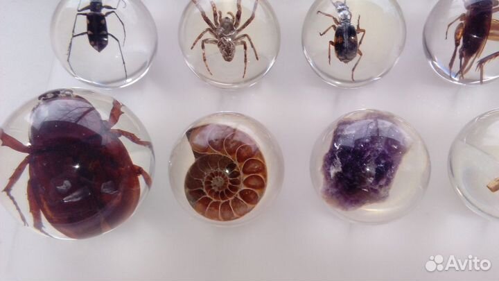 Чудеса природы коллекция шаров в акриле