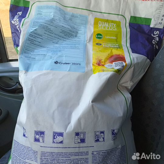 Семена подсолнечника