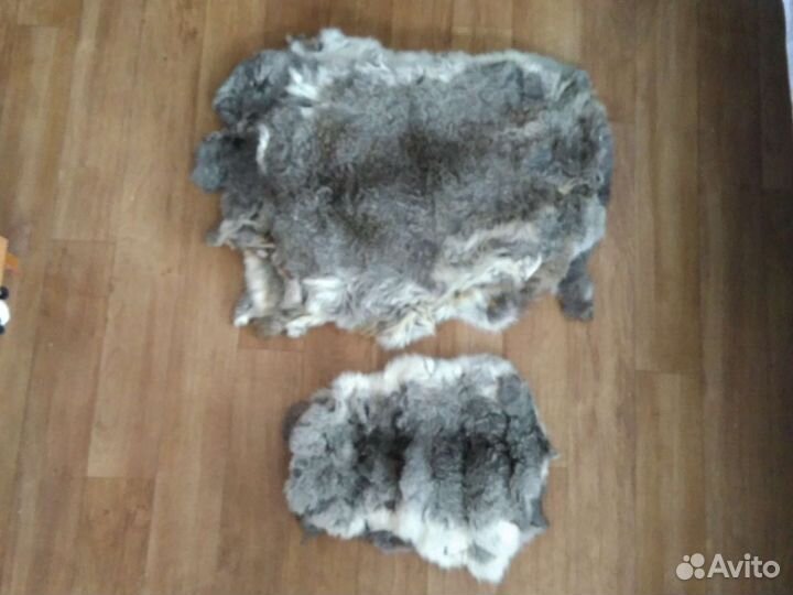 Шкурки кролика