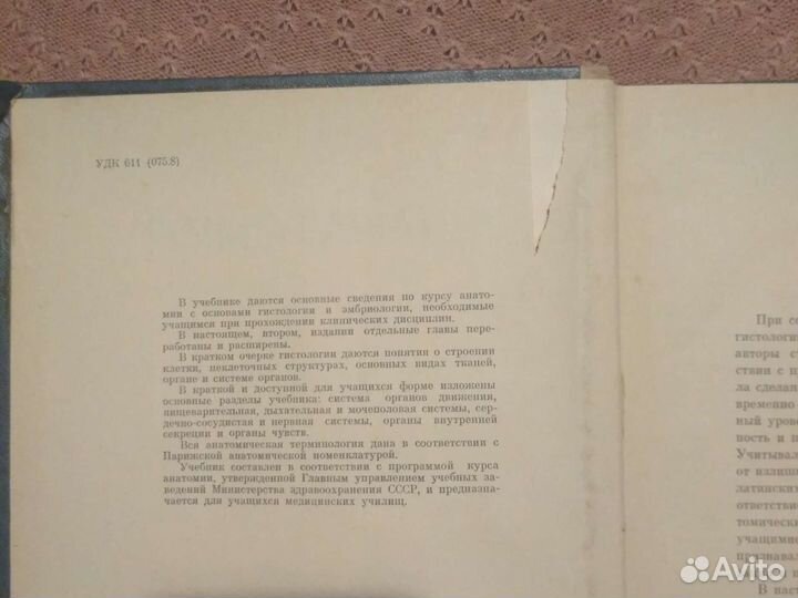 Анатомия