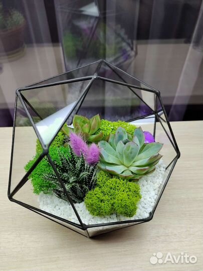 Флорариум в подарок