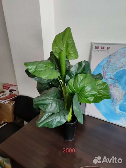 Искусственный фикус