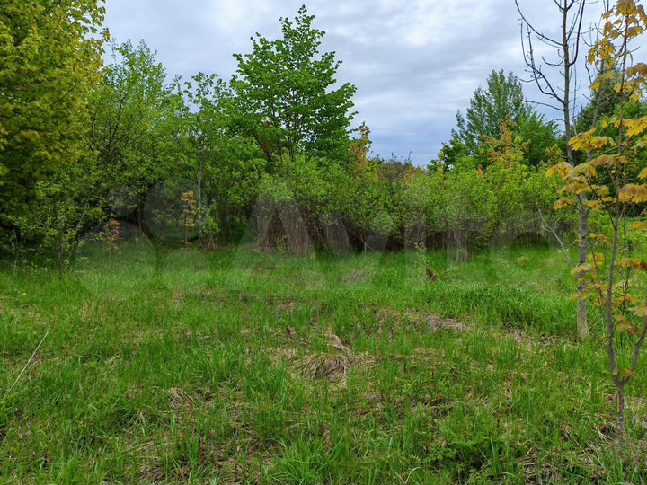 Участок 10 сот. (ИЖС)