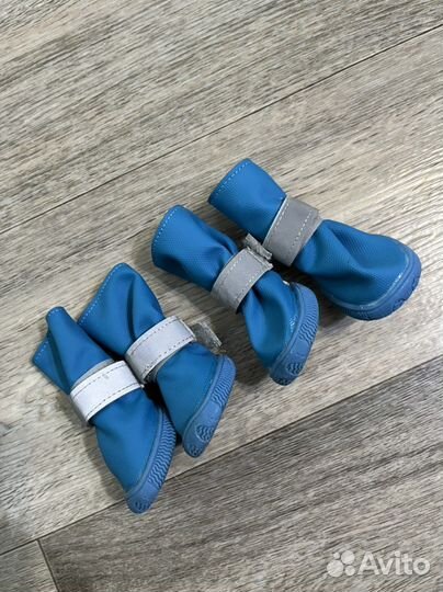 Одежда и обувь для собак