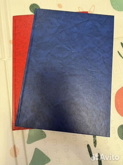 Амбарная книга (книга учета)