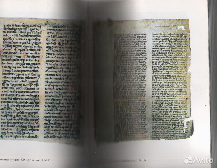 Немецкие средневековые рукописи и старопечатные фр