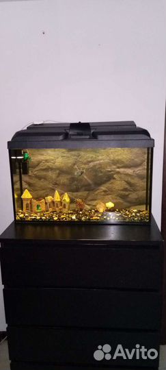 Аквариум