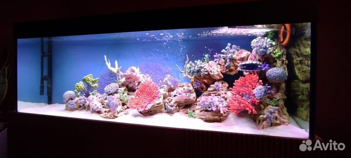 Обслуживание аквариумов