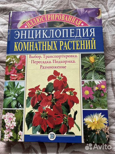 Энциклопедия комнатных растений