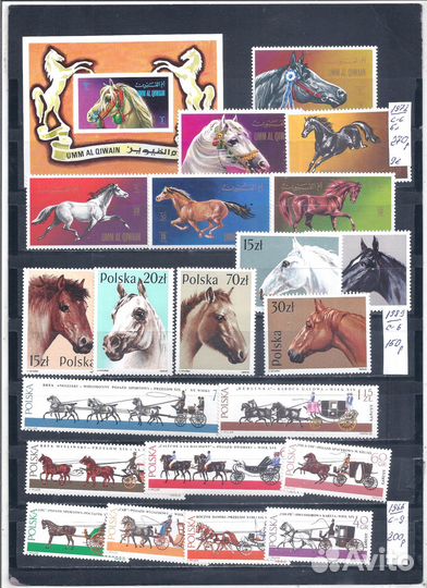 Фауна чистая 1