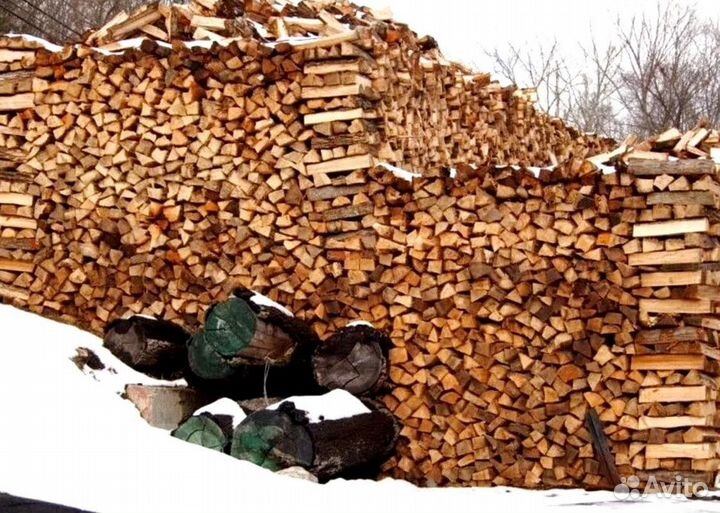 Дрова Береза