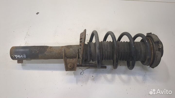 Амортизатор подвески Audi A3 (8PA), 2009