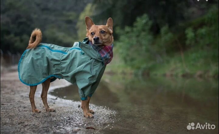 Дождевики Hurtta