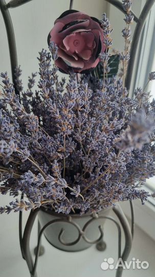 Лаванда сухоцвет