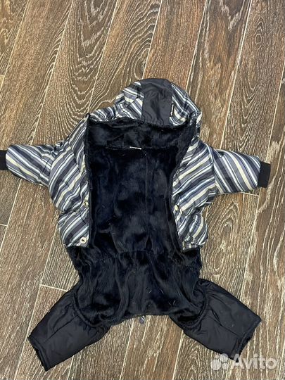 Комбинезон для средней собаки