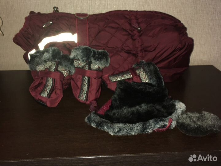 Одежда для кроличьей таксы