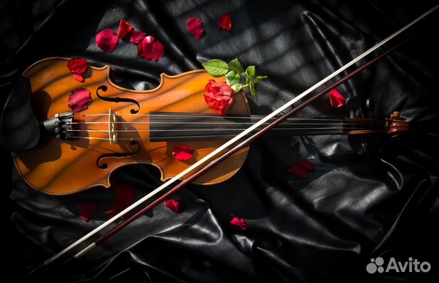 Музыкант на вечер