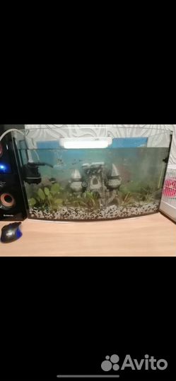 Аквариум большой бу