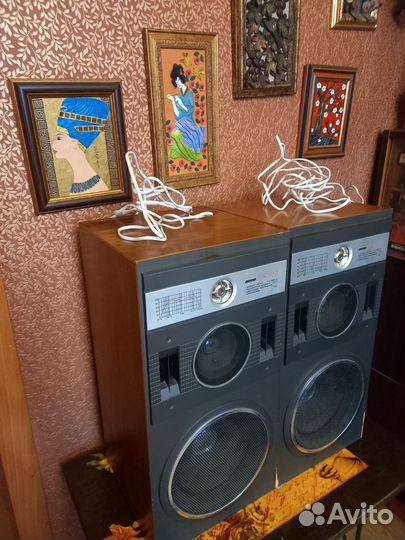 Акустические колонки Вега 25 ас 109-2