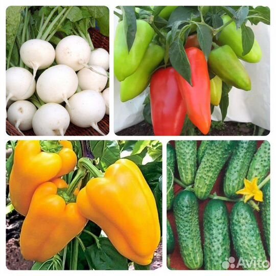 Проф. семена овощей в мелкой фасовке