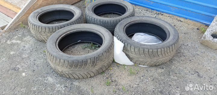 Gislaved Nord Frost 5 205/55 R16