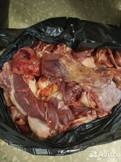 Мясо и субпродукты для собак