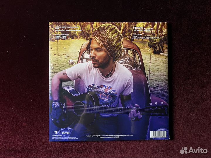 Lenny Kravitz «Raise Vibration»