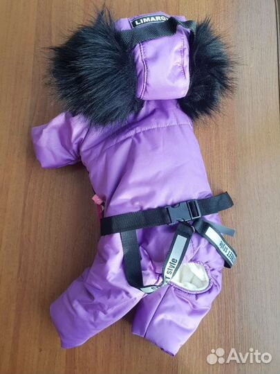 Одежда для собак