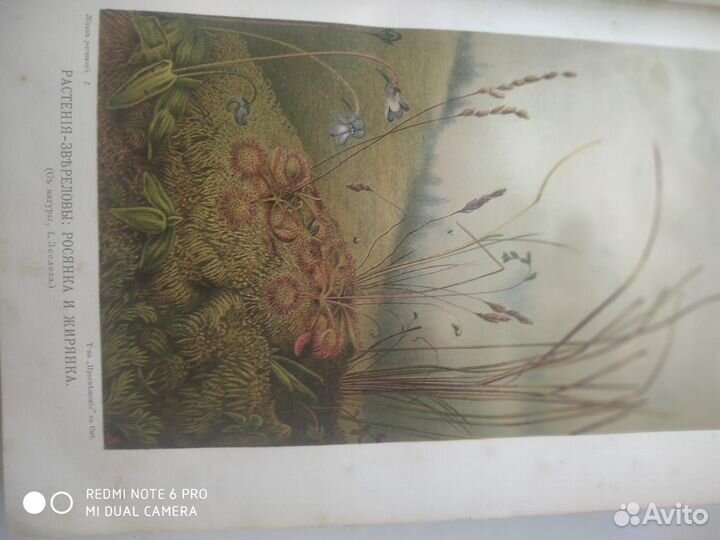 Редкие антикварные книги. Жизнь растений