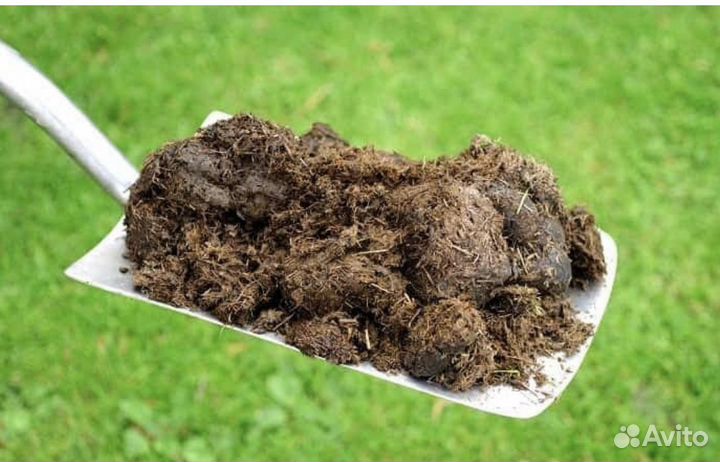 Конский навоз (самовывоз)