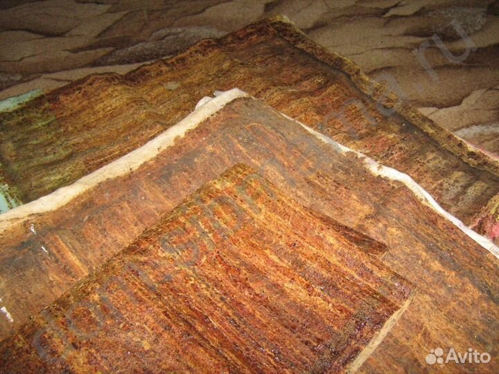 Холстик прополисный