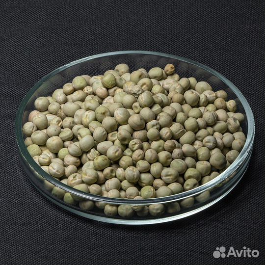 Горох Мадрас на микрозелень