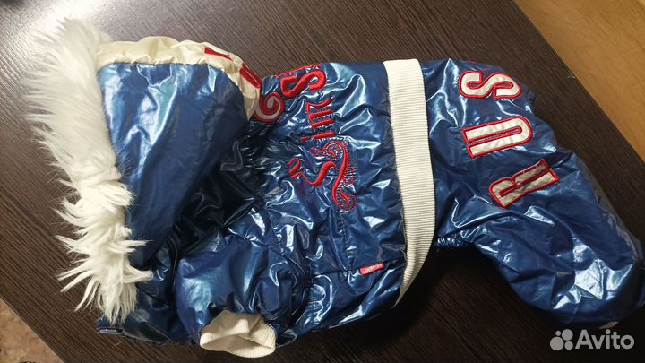 Зимний комбез для небольшой собаки