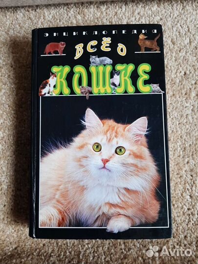 Энциклопедия все о кошке