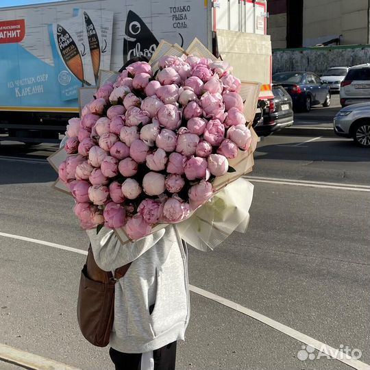 Пионы оптом