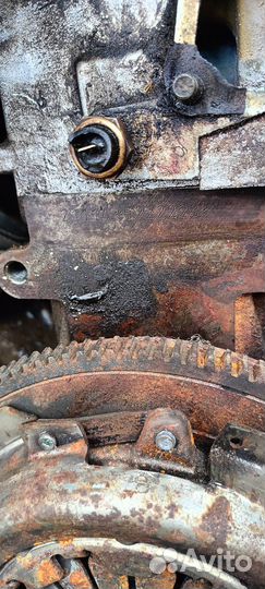 Двигатель ваз 1.6 kalina