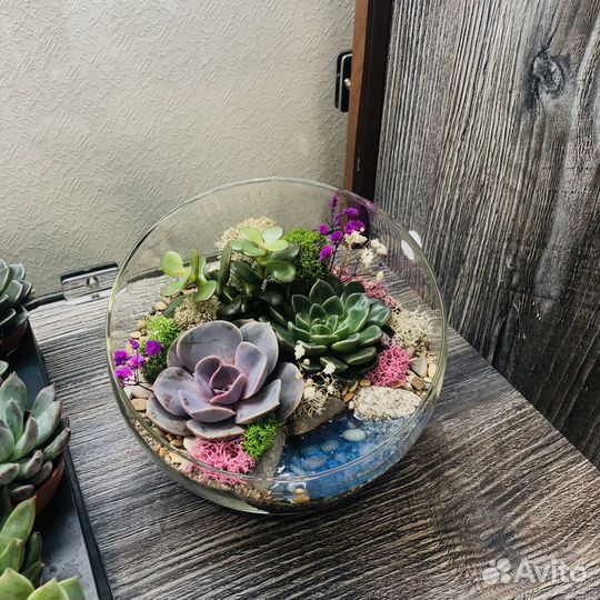 Флорариум с суккулентами