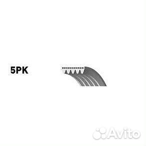 Ремень поликлиновой gates 5PK1138