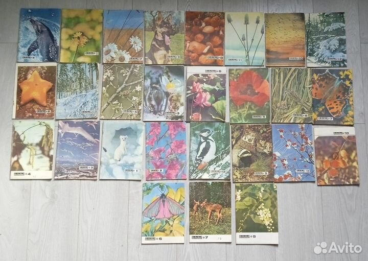 Журнал СССР 'Юный Натуралист'. 1967-1983